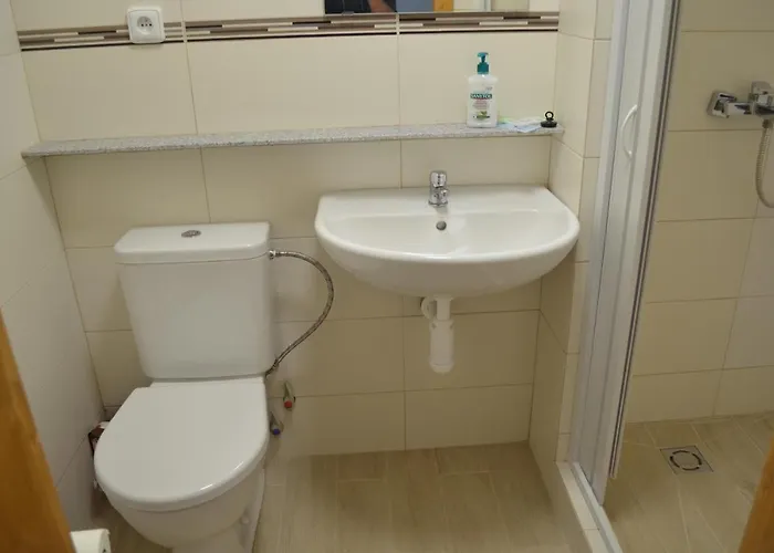 Homestay Kosmonosy, Hradistska 181